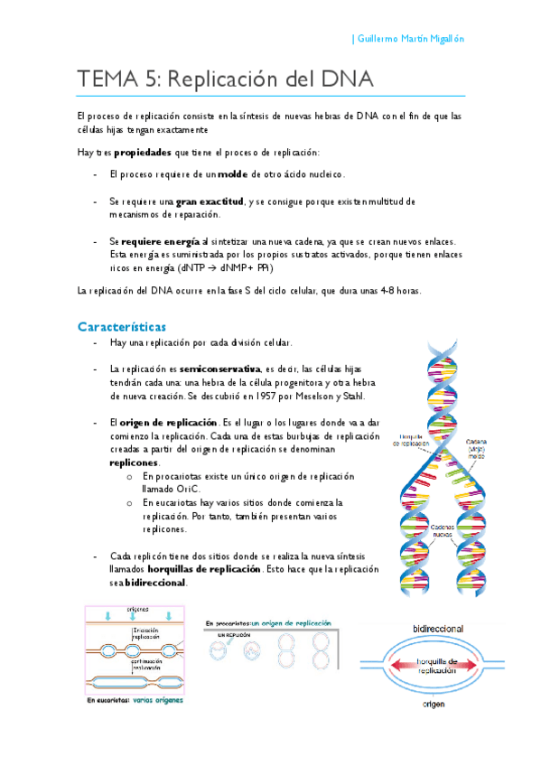 Miniatura del documento TEMA 5. Replicación del DNA.pdf