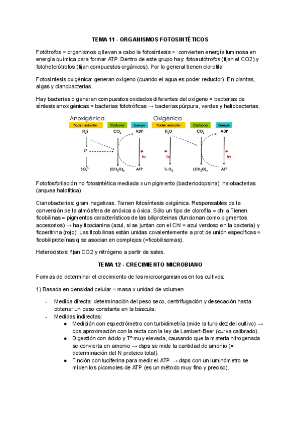Miniatura del documento TEMA-11-15-Microbiologia.pdf