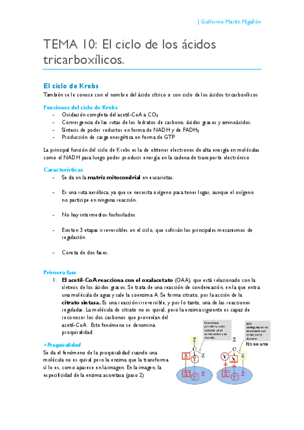 Miniatura del documento TEMA 10. Ciclo de los ácidos tricarboxílicos.pdf
