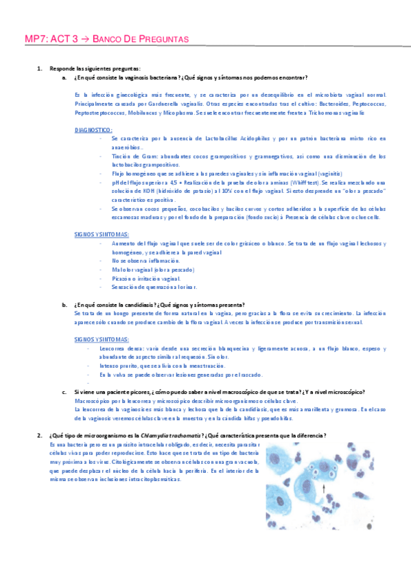 Miniatura del documento MP7-AP-Banco-de-preguntas-T1-UF2.pdf