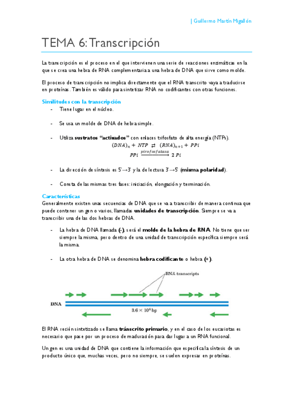 Miniatura del documento TEMA 6. Transcripción.pdf