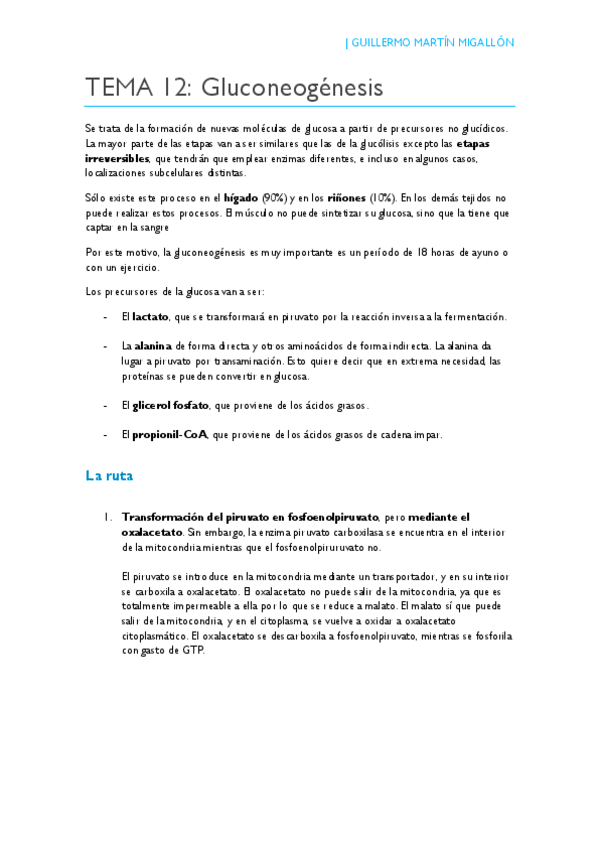 Miniatura del documento TEMA 12. Gluconeogénesis.pdf