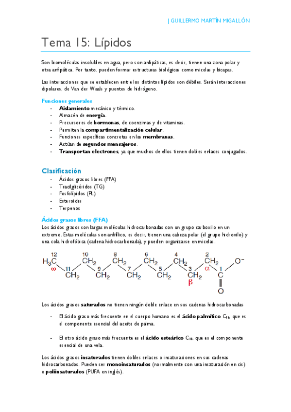 Miniatura del documento TEMA 15. Lípidos.pdf