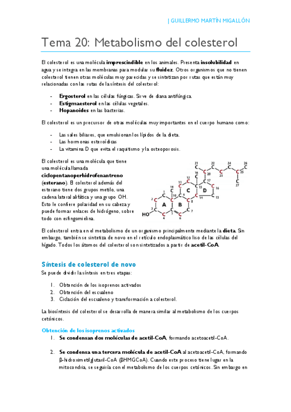 Miniatura del documento TEMA 20. Metabolismo del colesterol.pdf