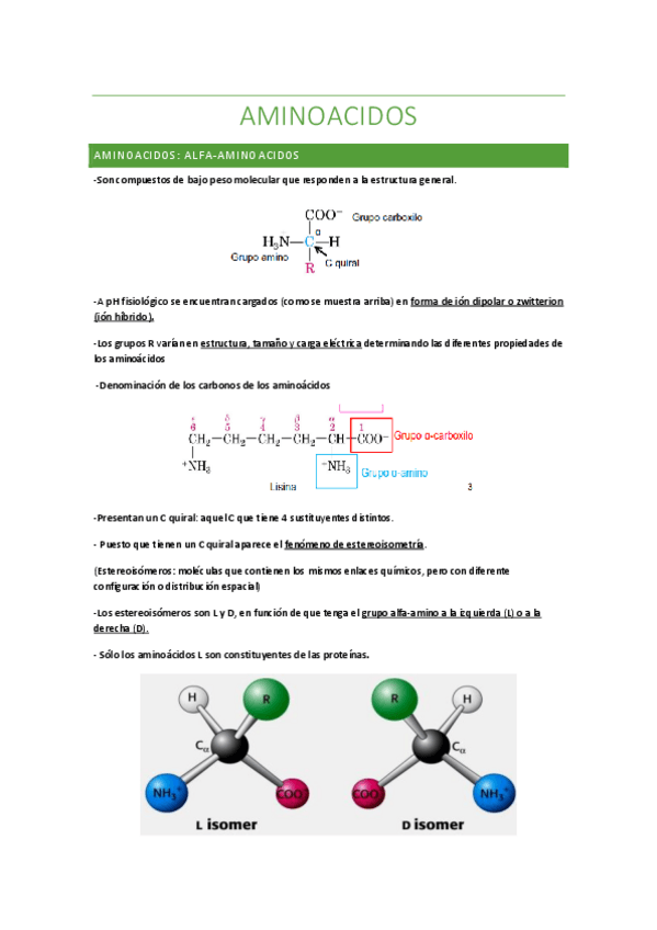Miniatura del documento TEMA-2-AMINOACIDOS-Y-PEPTIDOS.pdf
