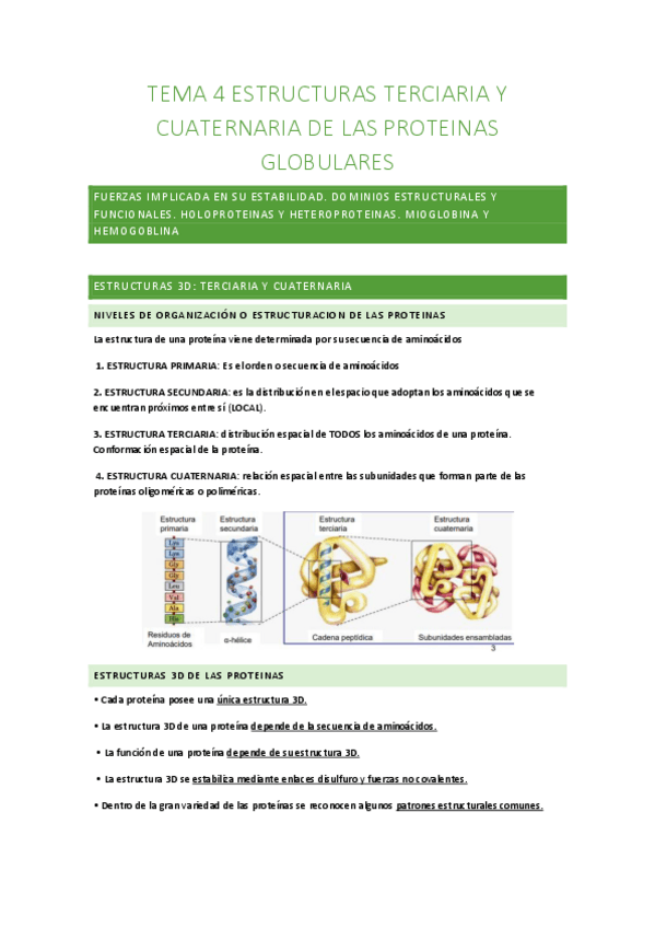 Miniatura del documento TEMA-4-PROTEINAS-GLOBULARES.pdf