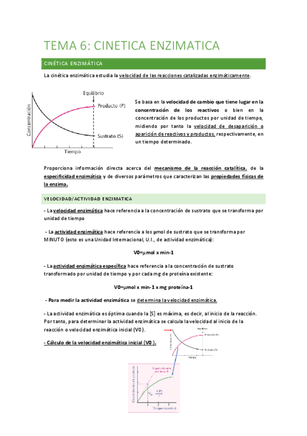 Miniatura del documento TEMA-6-CINETICA-ENZIMATICA.pdf