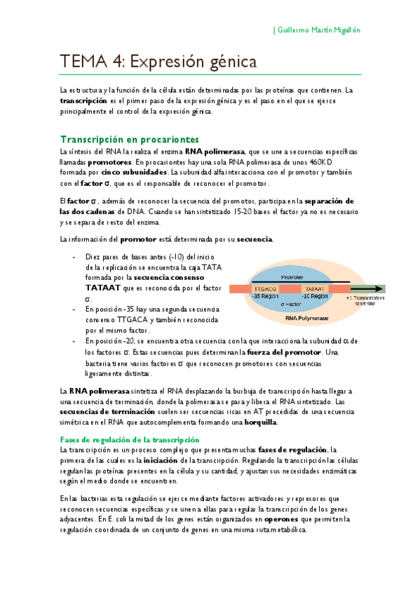 Miniatura del documento TEMA 4. Expresión génica.pdf