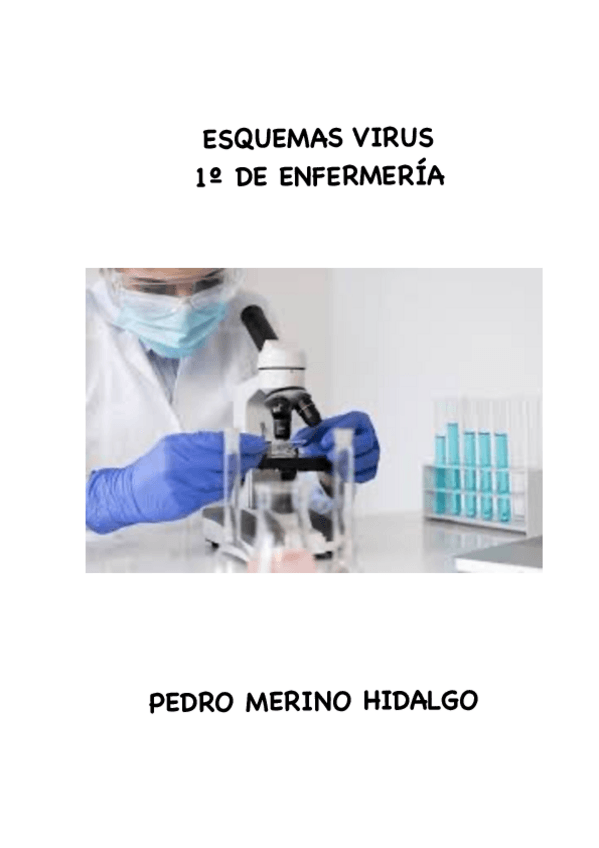 Miniatura del documento Esquemas-Microbiologia-VIRUS.pdf