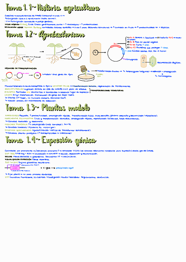 Miniatura del documento PAR1T1.pdf