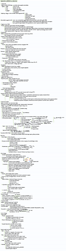 Miniatura del documento T3.pdf