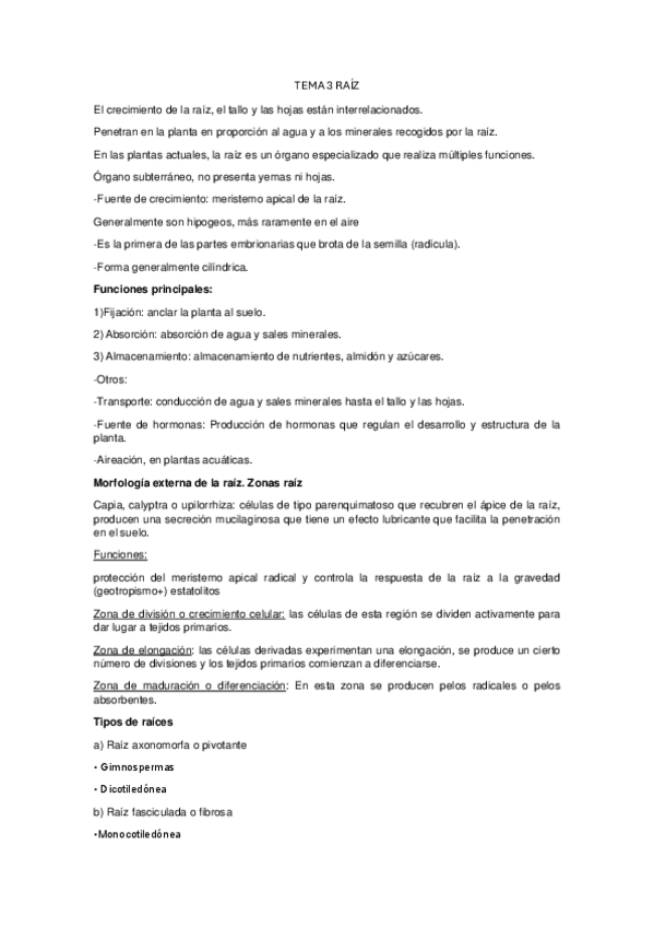 Miniatura del documento TEMA-3-RAIZ.pdf