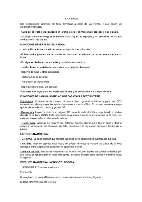 Miniatura del documento TEMA-5-HOJA.pdf