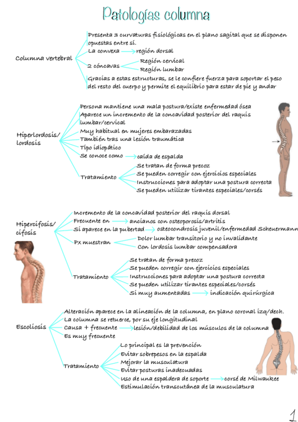 Miniatura del documento Patologias-columna.pdf