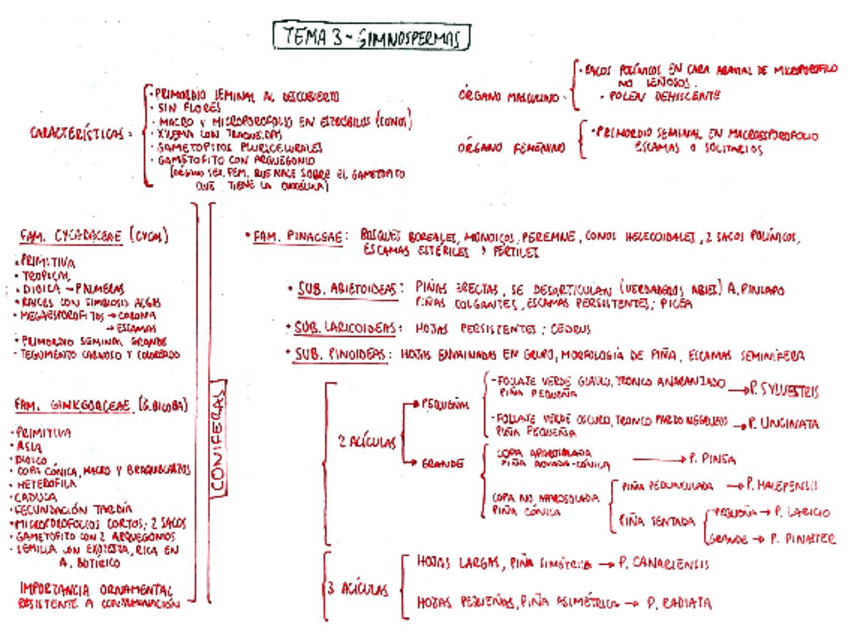 Miniatura del documento Tema-3-botanica.pdf