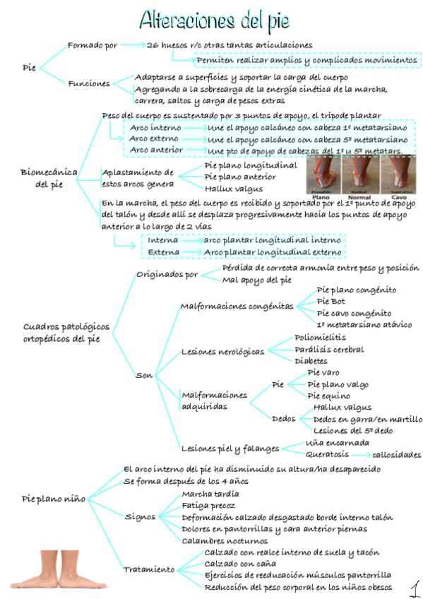 Miniatura del documento Alteraciones-del-pie.pdf
