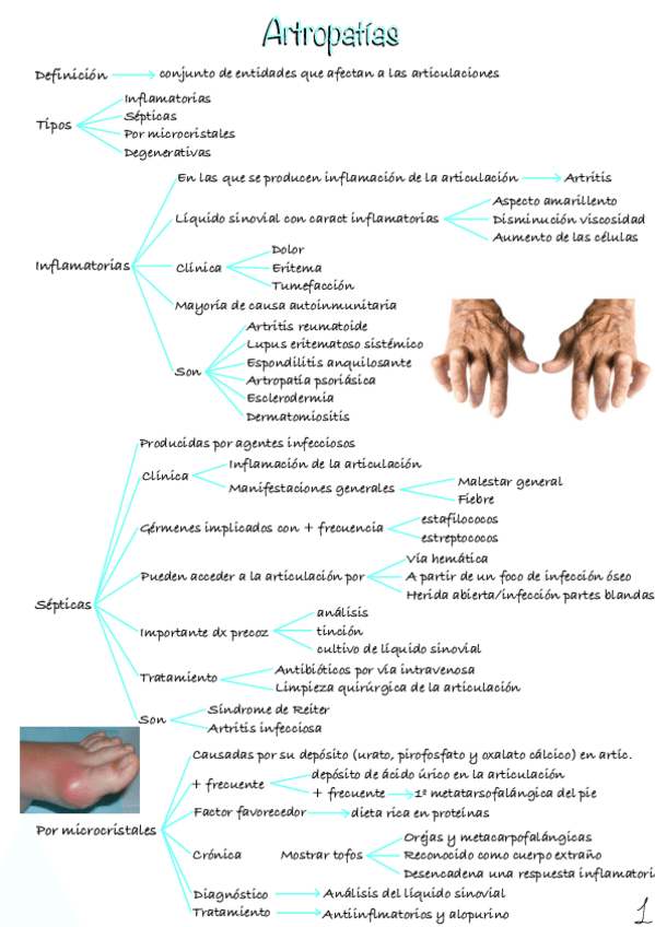 Miniatura del documento Artropatias.pdf