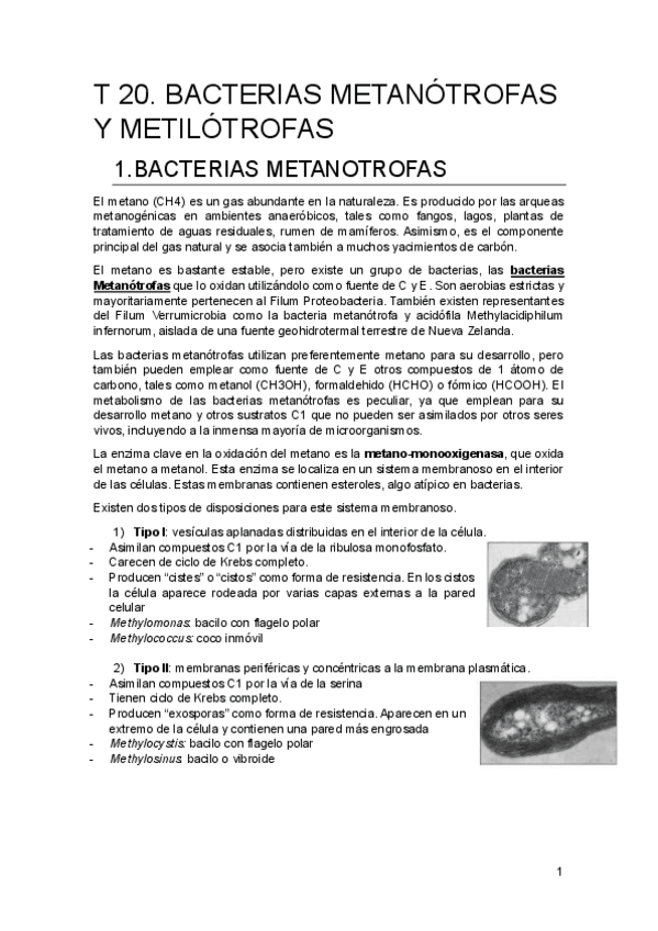 Miniatura del documento T-20.pdf