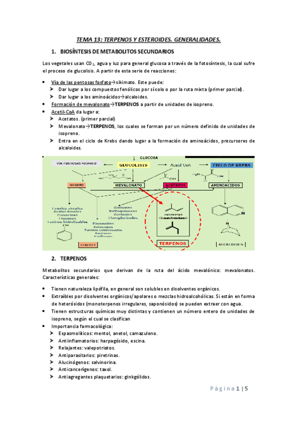 Miniatura del documento T13-terpenos-y-esteroides-generalidades.pdf