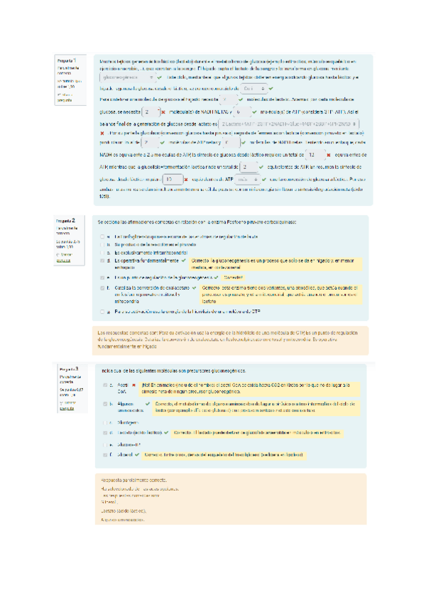 Miniatura del documento AUTOEVALUACIOM-III-2.pdf