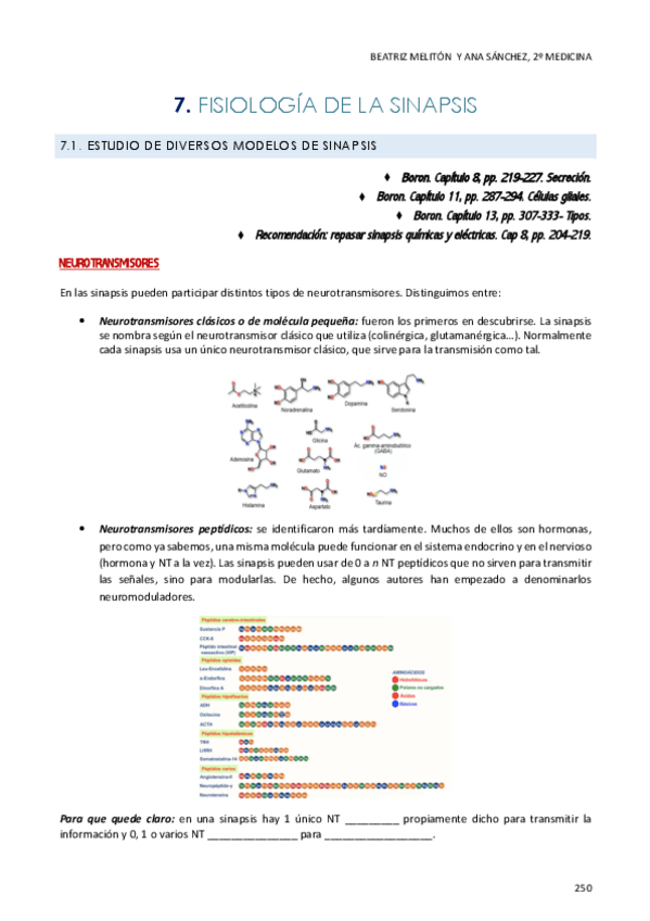 Miniatura del documento Tema 7. Sinapsis.pdf