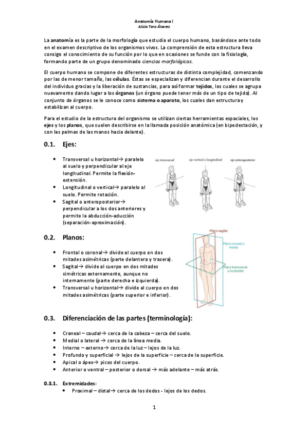 Miniatura del documento Anatomía Humana I.pdf