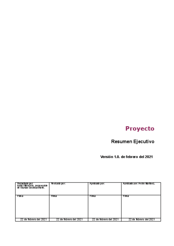 Miniatura del documento ResumenEjecutivo.pdf