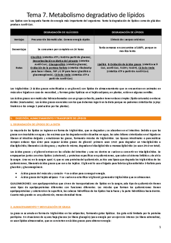 Miniatura del documento T7.-Metabolismo-degradativo-de-lipidos.pdf