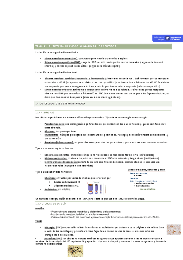 Miniatura del documento T.11.pdf