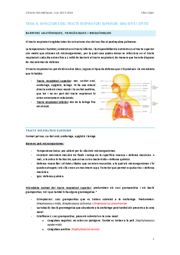 Miniatura del documento Tema-6.-Infeccions-del-tracte-respiratori-superior--sinusitis-i-otitis.pdf