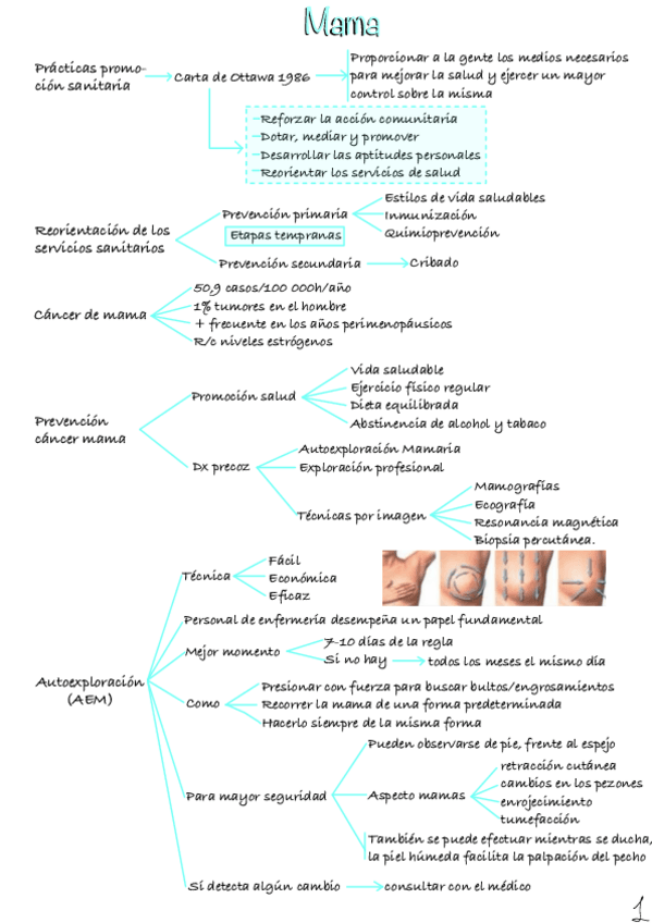 Miniatura del documento Autoexploracion-de-mama.pdf