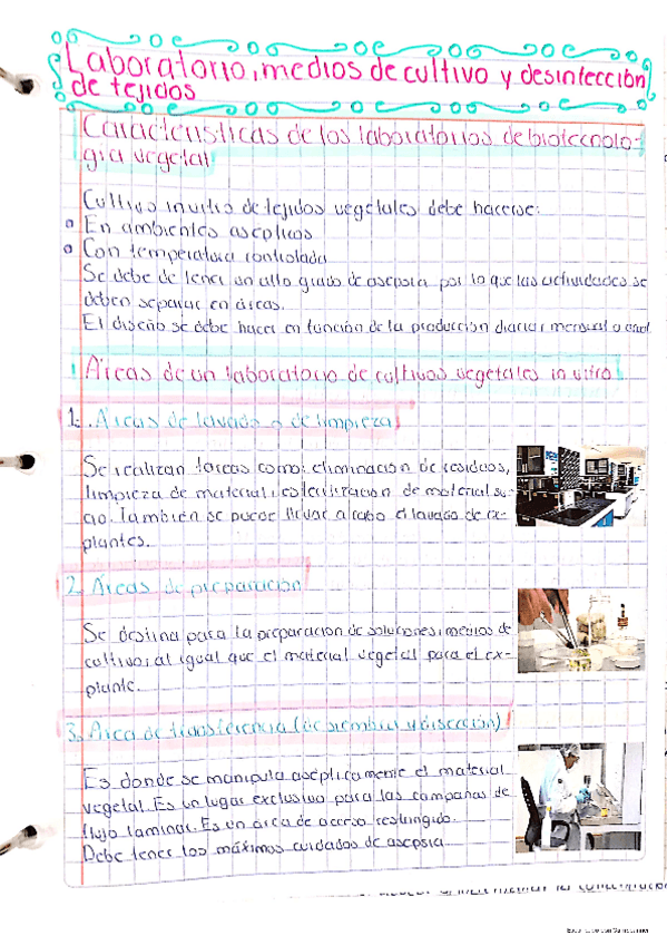 Miniatura del documento Laboratorio-medios-de-cultivo-y-desinfeccion-de-tejidos.pdf