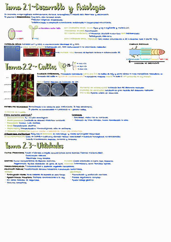 Miniatura del documento PAR1T2.pdf
