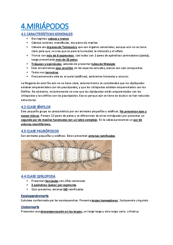 Miniatura del documento MIRIAPODOS.pdf