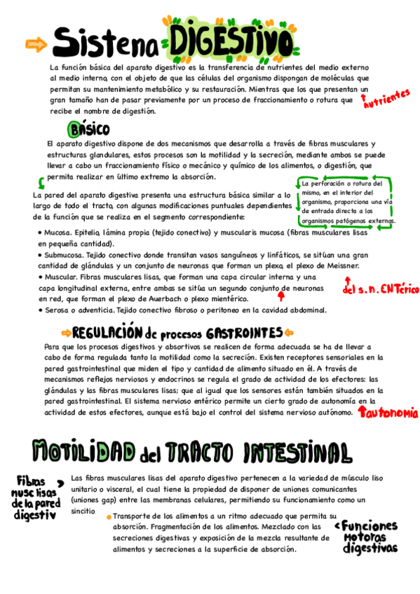Miniatura del documento sistema-digestivo.pdf