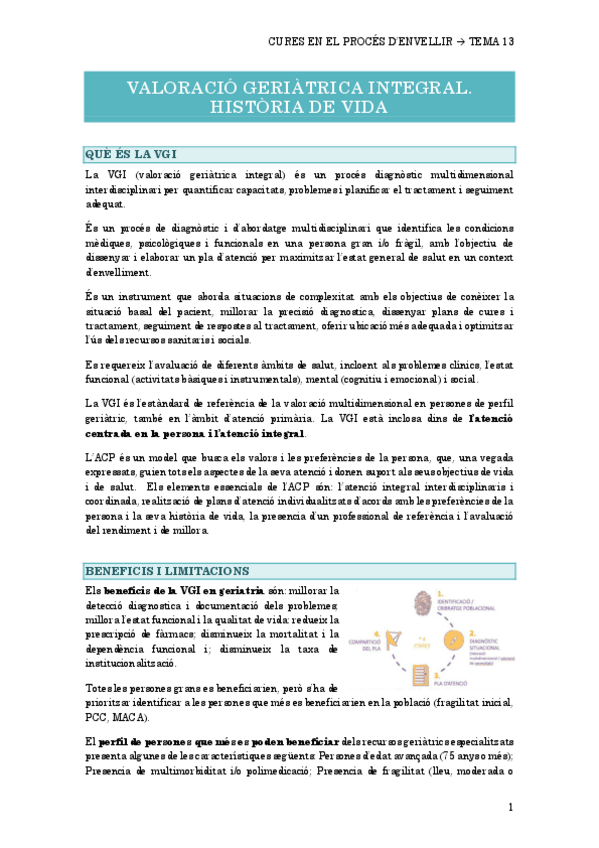 Miniatura del documento 13.-VALORACIO-GERIATRICA-INTEGRAL.pdf