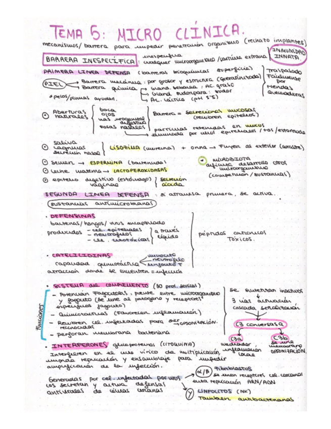 Miniatura del documento esquema-T5-micro-clinica.pdf