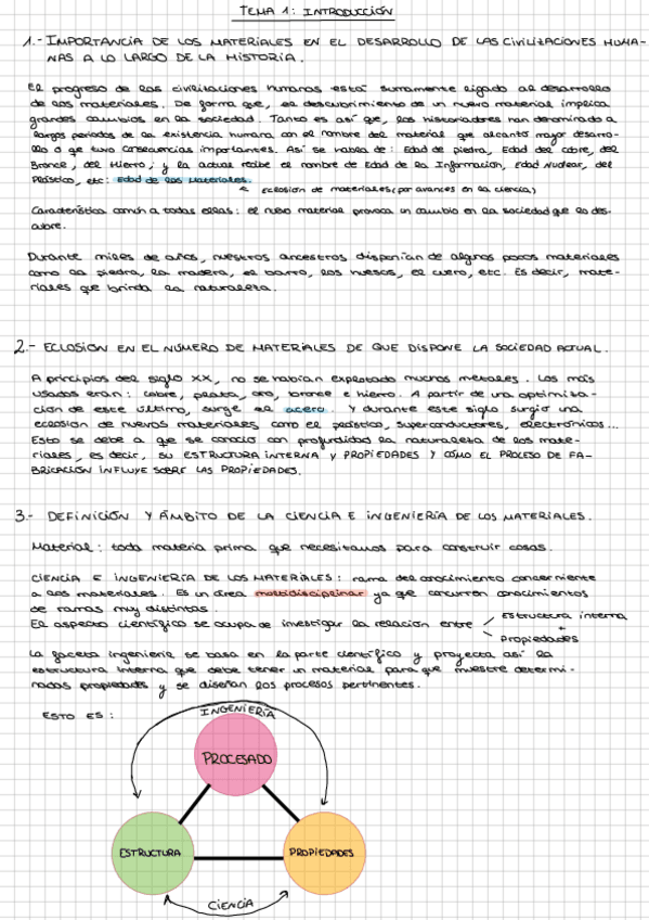 Miniatura del documento Tema-1-INTRODUCCION.pdf