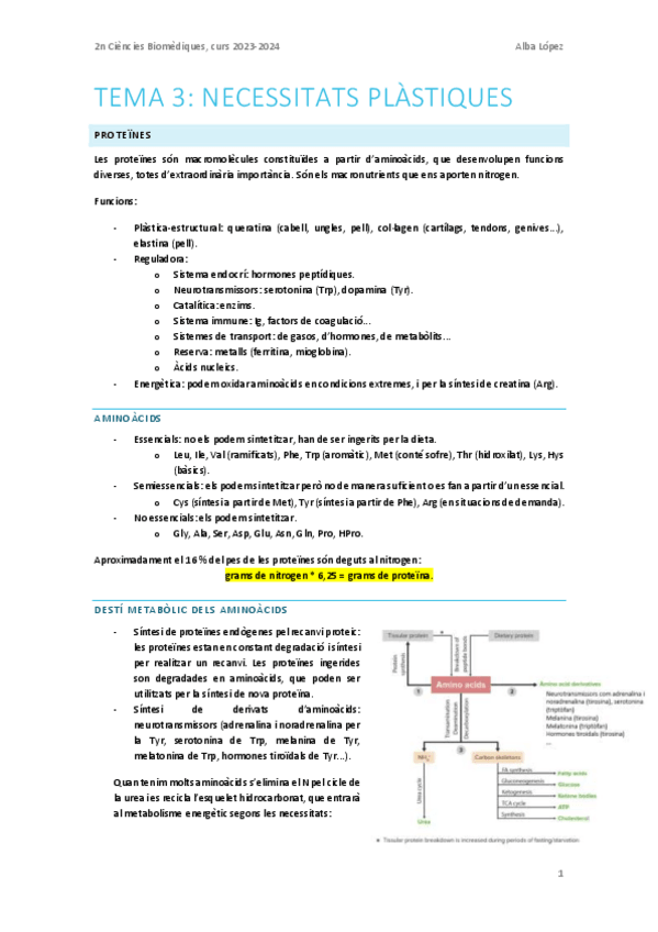 Miniatura del documento Tema-3.-Necessitats-plastiques.pdf
