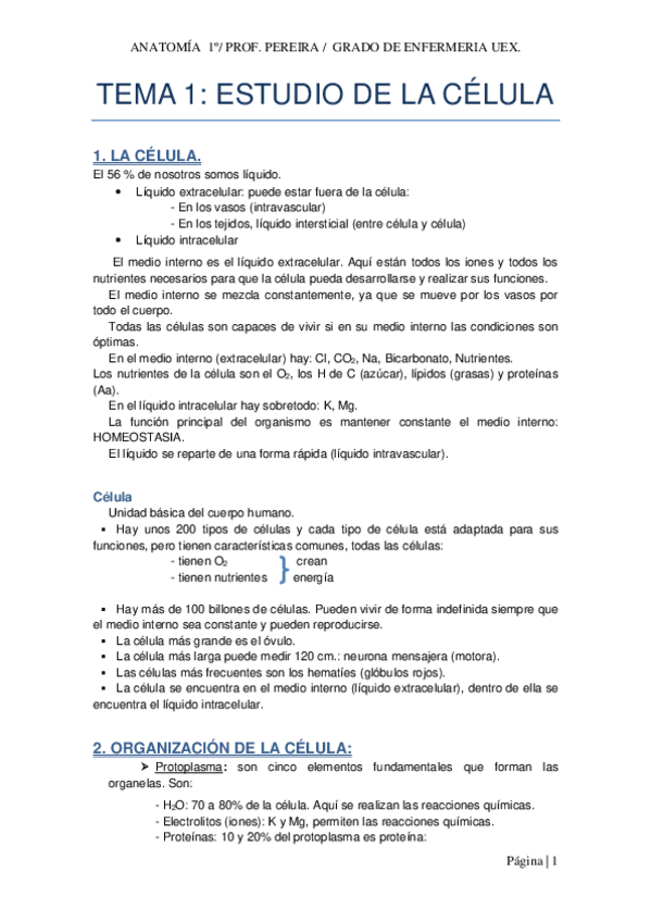 Miniatura del documento temario anatomia pereira.pdf
