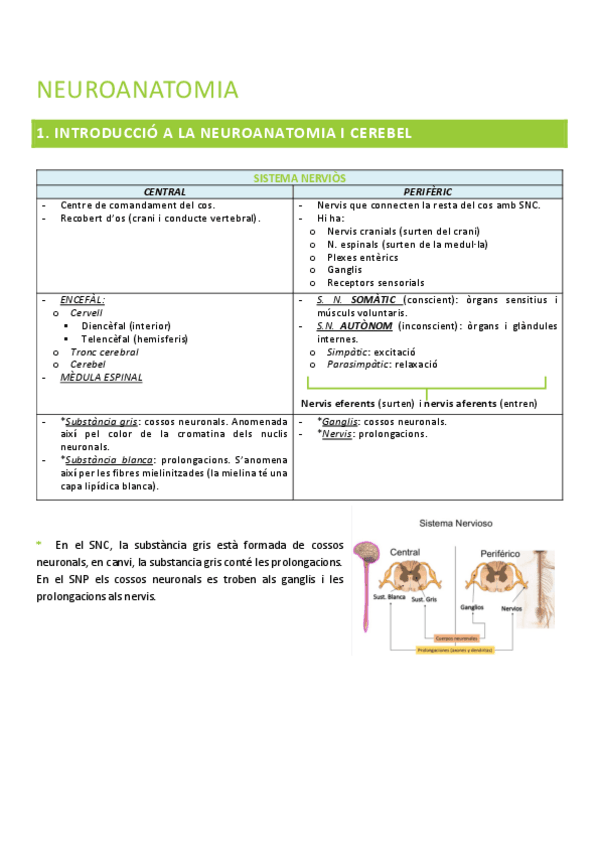 Miniatura del documento PSICOBIO-NEUROANATIMIA.pdf
