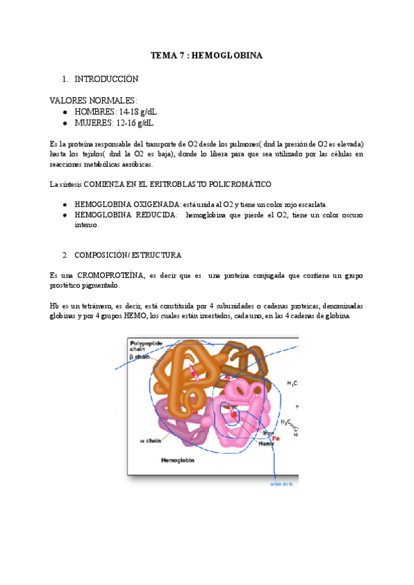 Miniatura del documento Tema-7-La-Hemoglobina.pdf