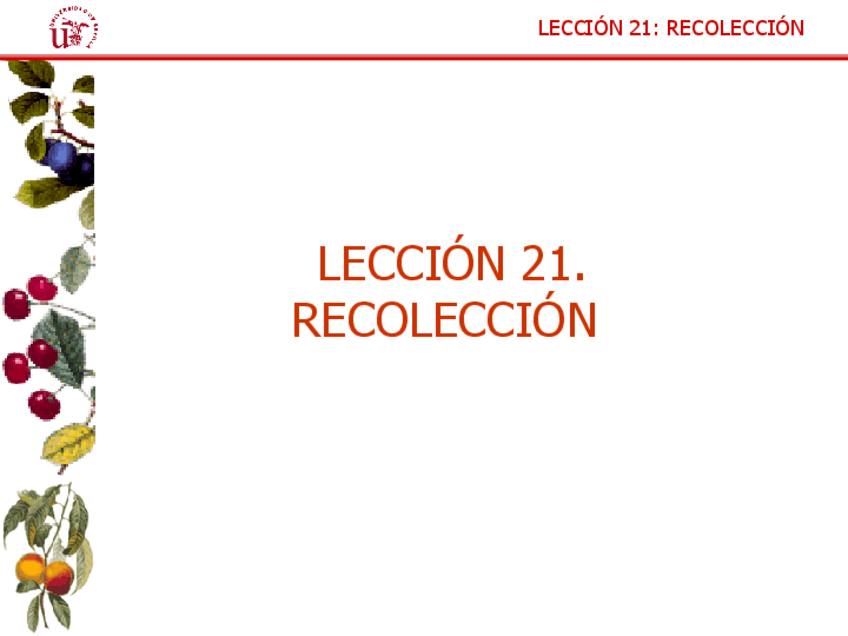 Miniatura del documento Leccion-21.-Recoleccion.pdf