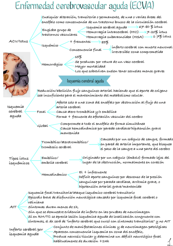 Miniatura del documento Enfermedad-cerebrovascular-aguda.pdf