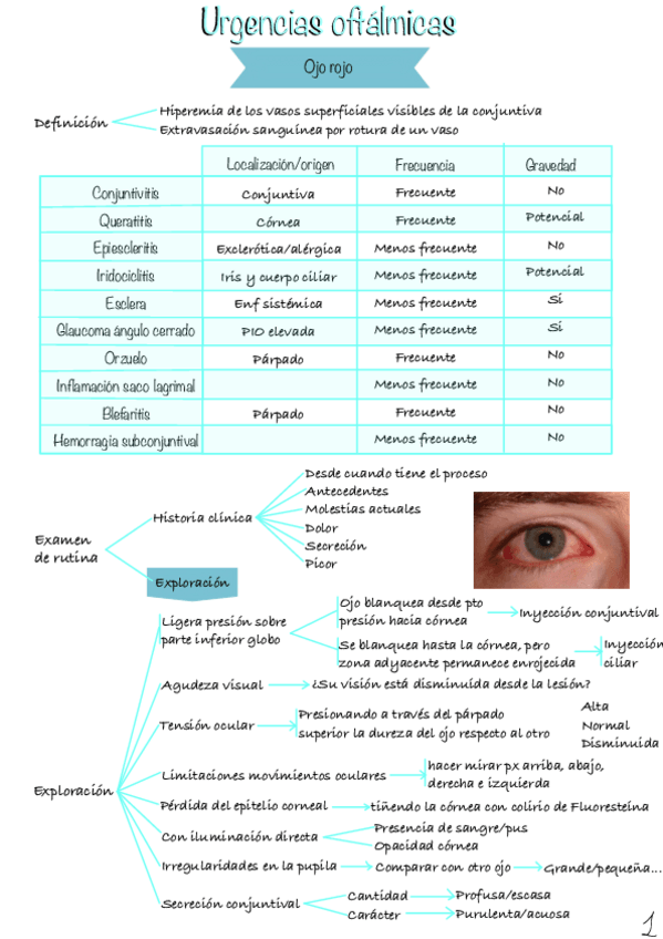 Miniatura del documento Urgencias-oftalmicas.pdf