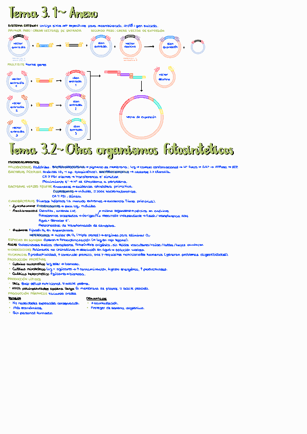 Miniatura del documento PAR1T3.pdf