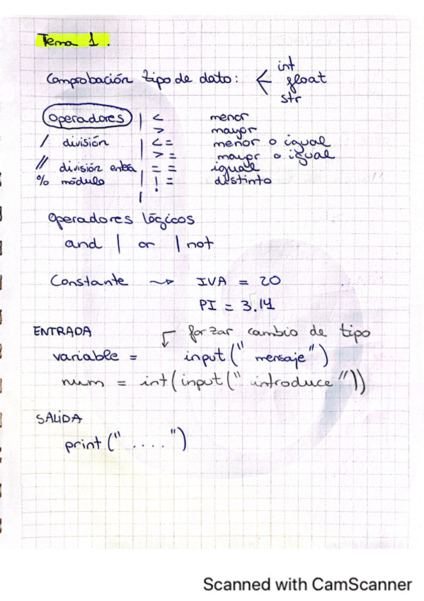 Miniatura del documento Apuntes-Informatica.pdf