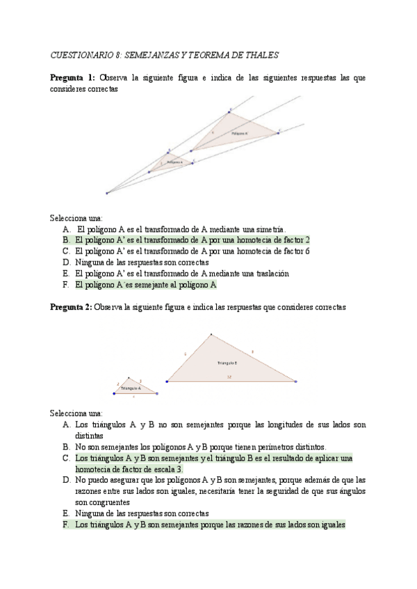 Miniatura del documento Preguntas-tema-semejanzas.pdf