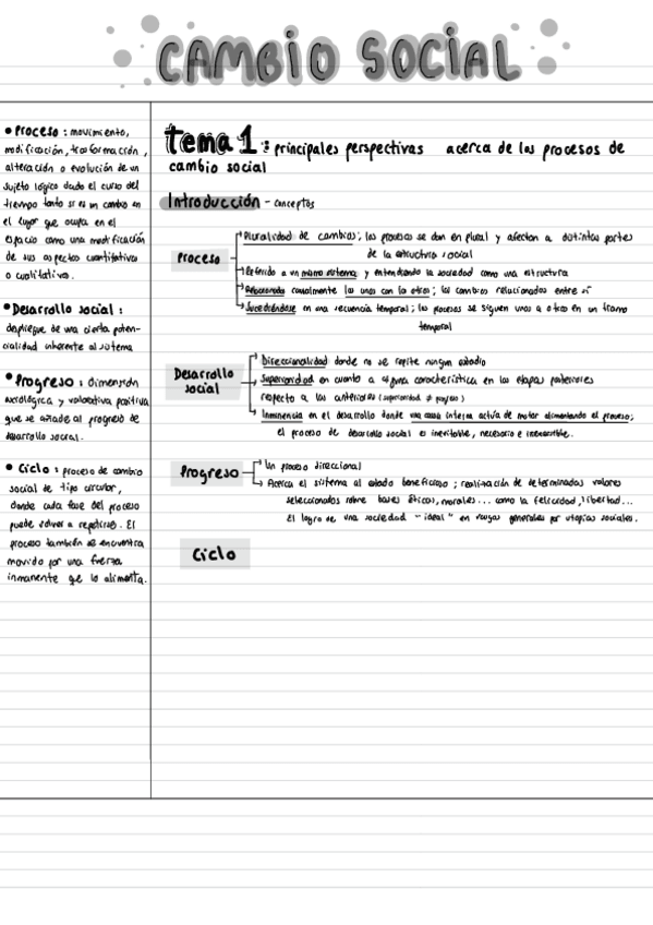 Miniatura del documento Apuntes-Cambio-Social.pdf