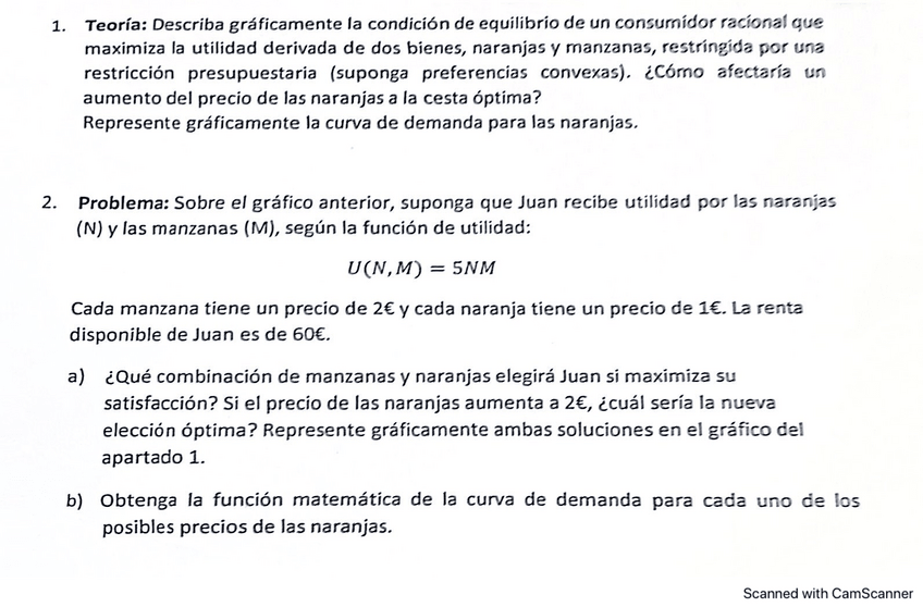 Miniatura del documento Prueba-Bloque-I-microeconomia-24-25.pdf
